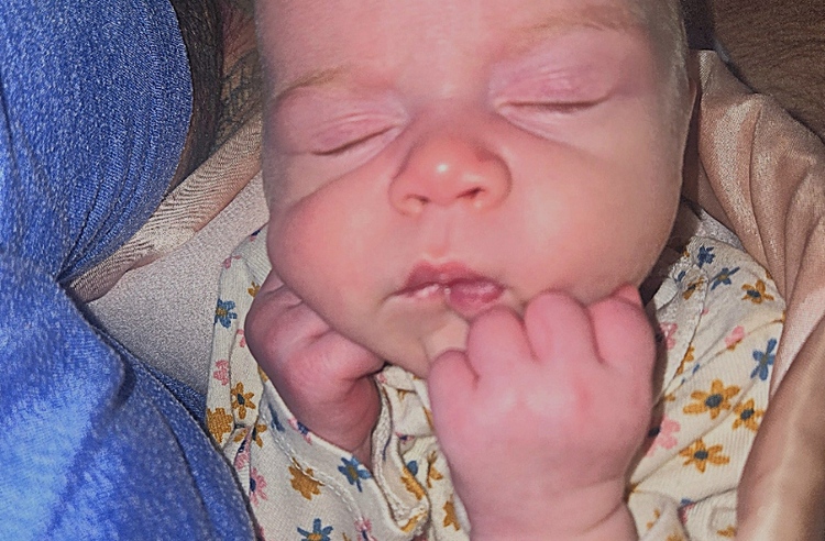 Josh & Arielle Green adoption photo 8