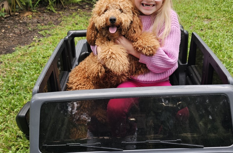 Quintin and Yvonne Bosman adoption photo 6